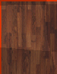 music; label- warp records